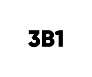 3b1